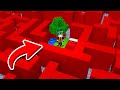 SOPRAVVIVO IN UN LABIRINTO SU MINECRAFT CONTRO I MIEI AMICI!!