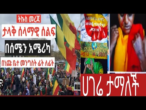 ቪዲዮ: ጆሌ ፍሌቸር ተንቀሳቅሷል?