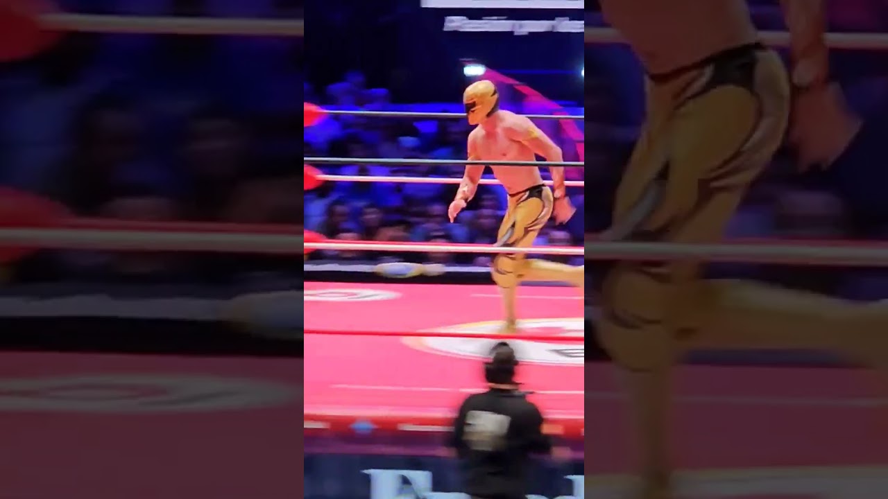 IMPRESIONANTE Canadian Destroyer de Máscara Dorada a Star Jr en la Arena México