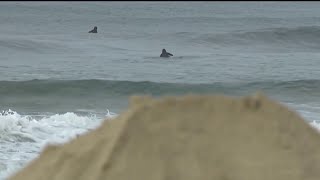 Sand-saving project in Oceanside gets easier thanks to other development | NBC 7 San Diego
