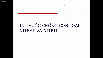 Zoom Dược Lý Thuốc Điều Trị Cơn Đau Thắt Ngực ĐHYHN