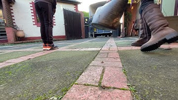 1st trailer loading mare & foal HB510