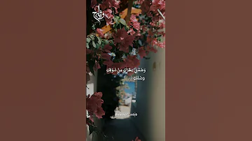فلما تلاقت عيون الغرام وشاح تصميمي Explore اكسبلور تيك توك ترند شعر فولو بدون موسيقى 