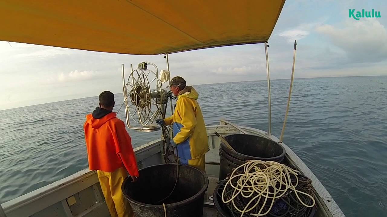 Dalla parte del mare - A pesca con Aldo