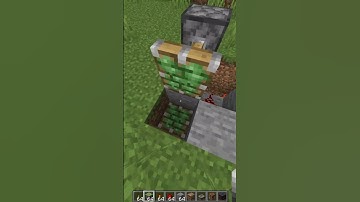 Double Block Swapper #minecrafthacks #minecrafttiktokhacks #viral  #gaming #minecraftbuilding