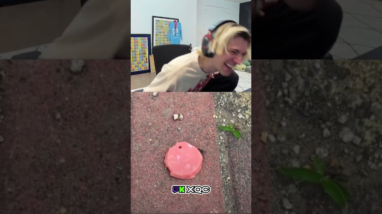 XQc Watches A Poor Ant Getting Trolled