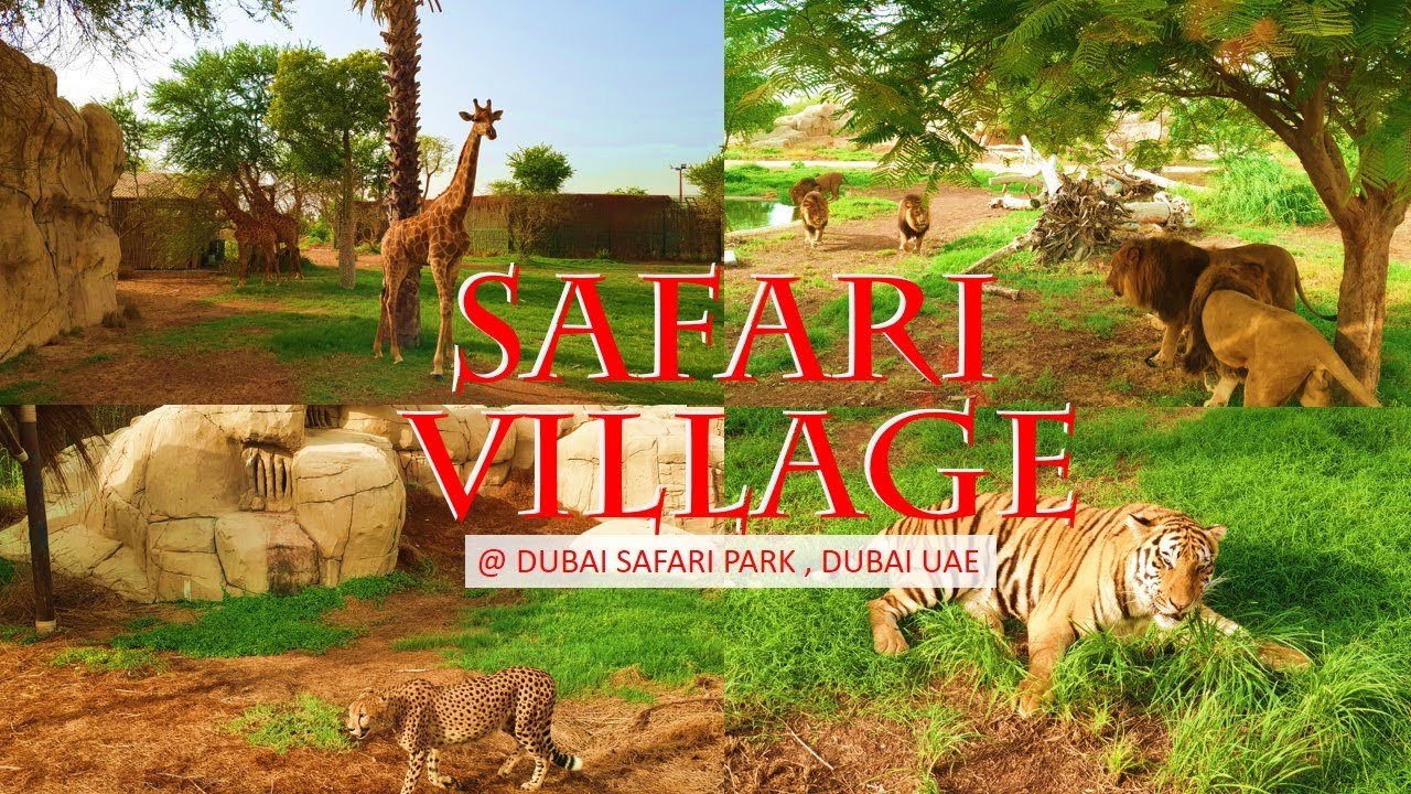 safari-village-dubai-safari-park-dubai-zoo-youtube