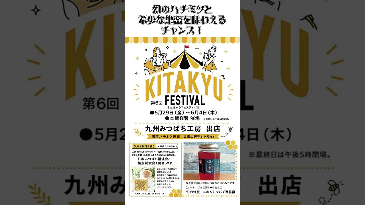 採れたて巣蜜販売!【5/29 二ホンミツバチ講演会】日本みつばちの養蜂 How to Beekeeping