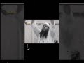 سبب عدم التوفيق في الحياه غضب الشيخ سمير مصطفي