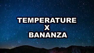 Belly Dancer x Temperature TikTok Remix | dont be shy girl go bananza