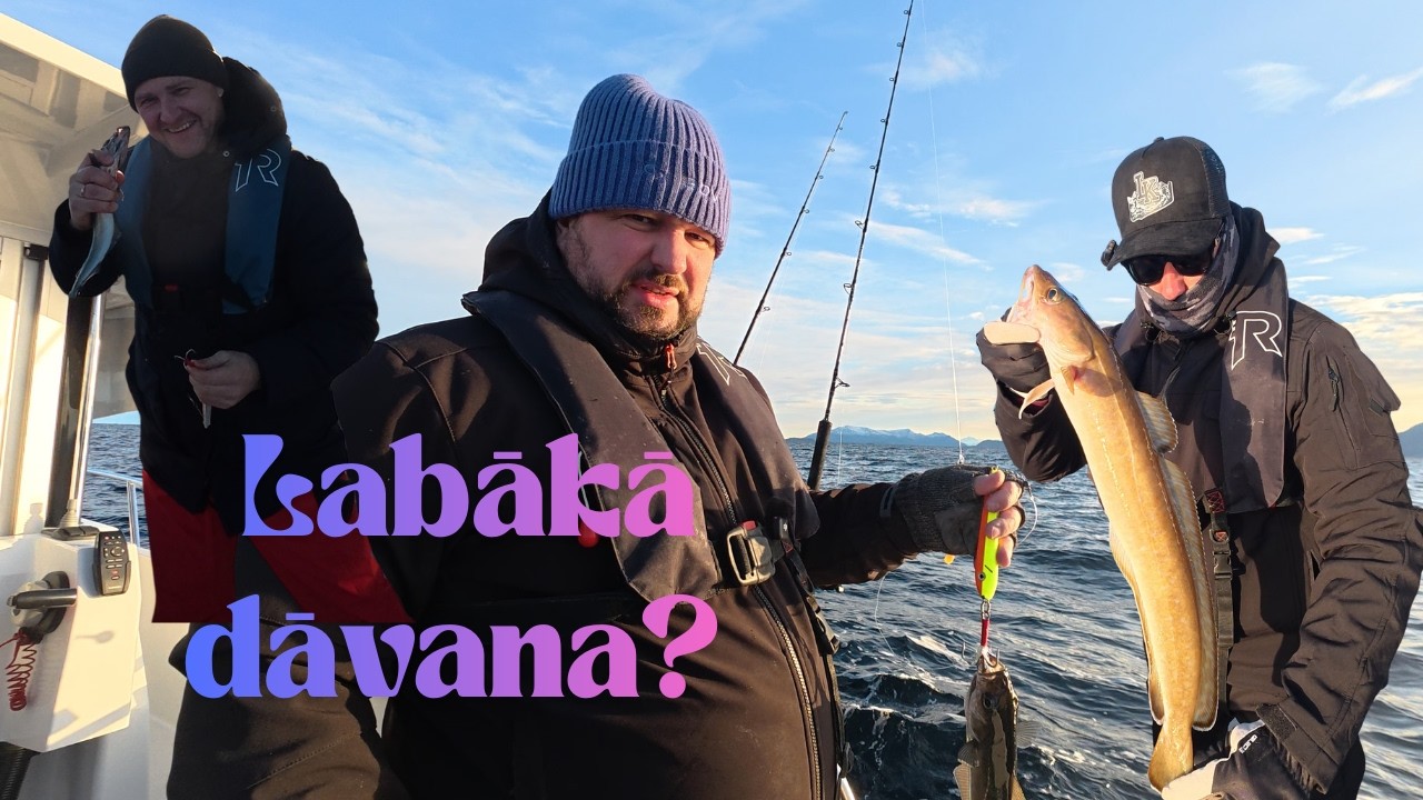 Šoreiz kalnā nekāpsim.