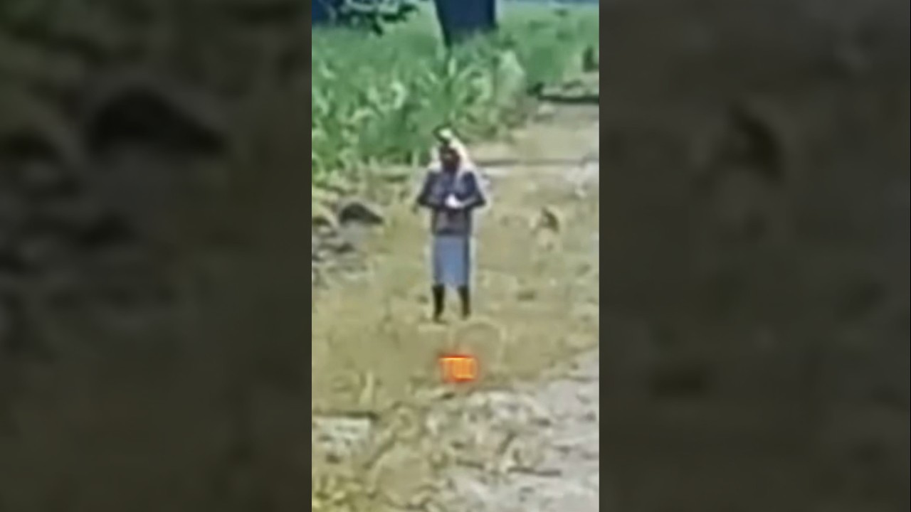 Duende on the side of the road 