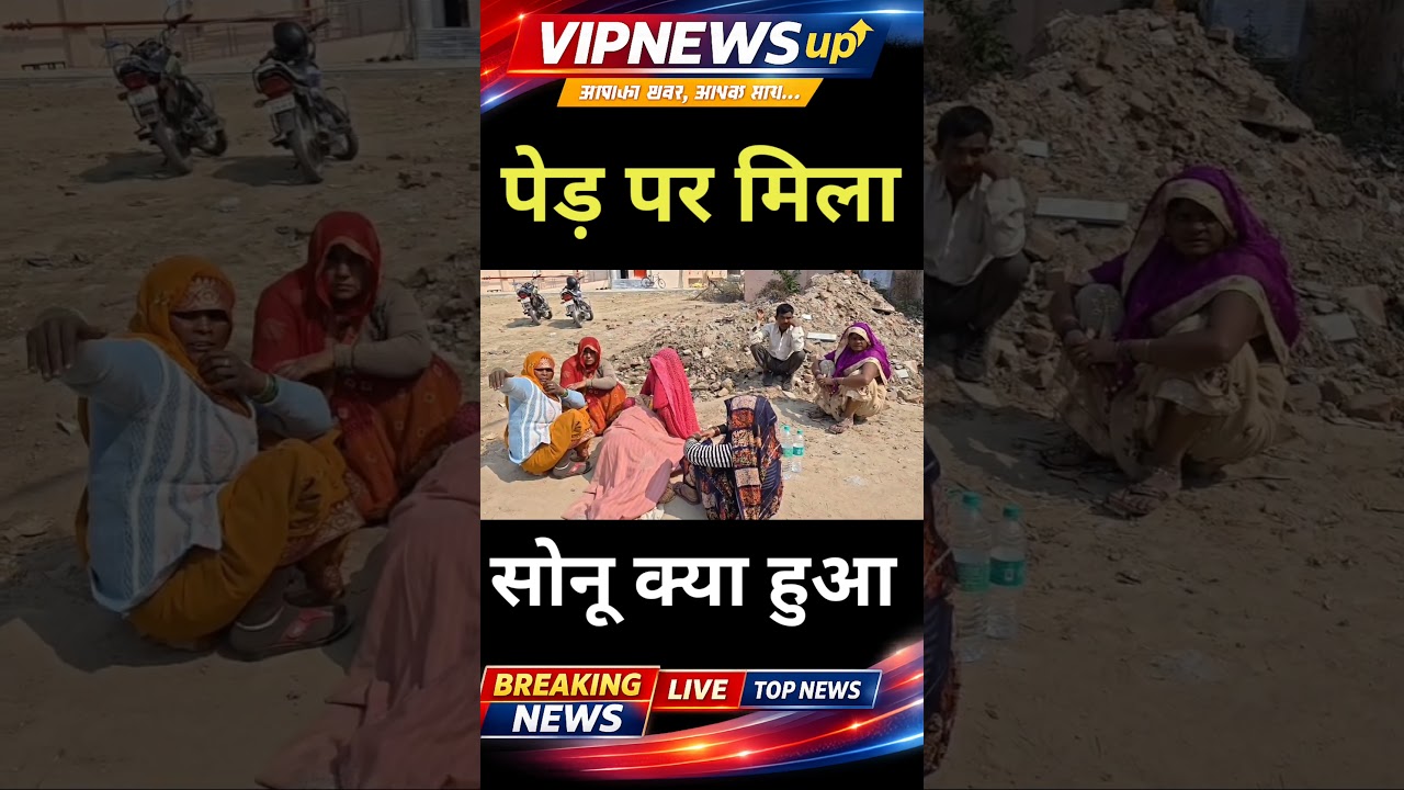 सोनू पेड़ पर मिला 