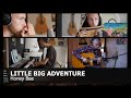 Little Big Adventure 2 - Honey Bee (OneCamBand Cover)