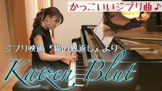 【ピアノ】ジブリ映画『猫の恩返し』より「ワルツ『Katzen Blut』」