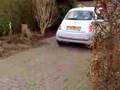 All new fiat 500 14 revving