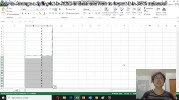 How to Input the Data on a Split-plot Design in Excel and Import it in STAR software