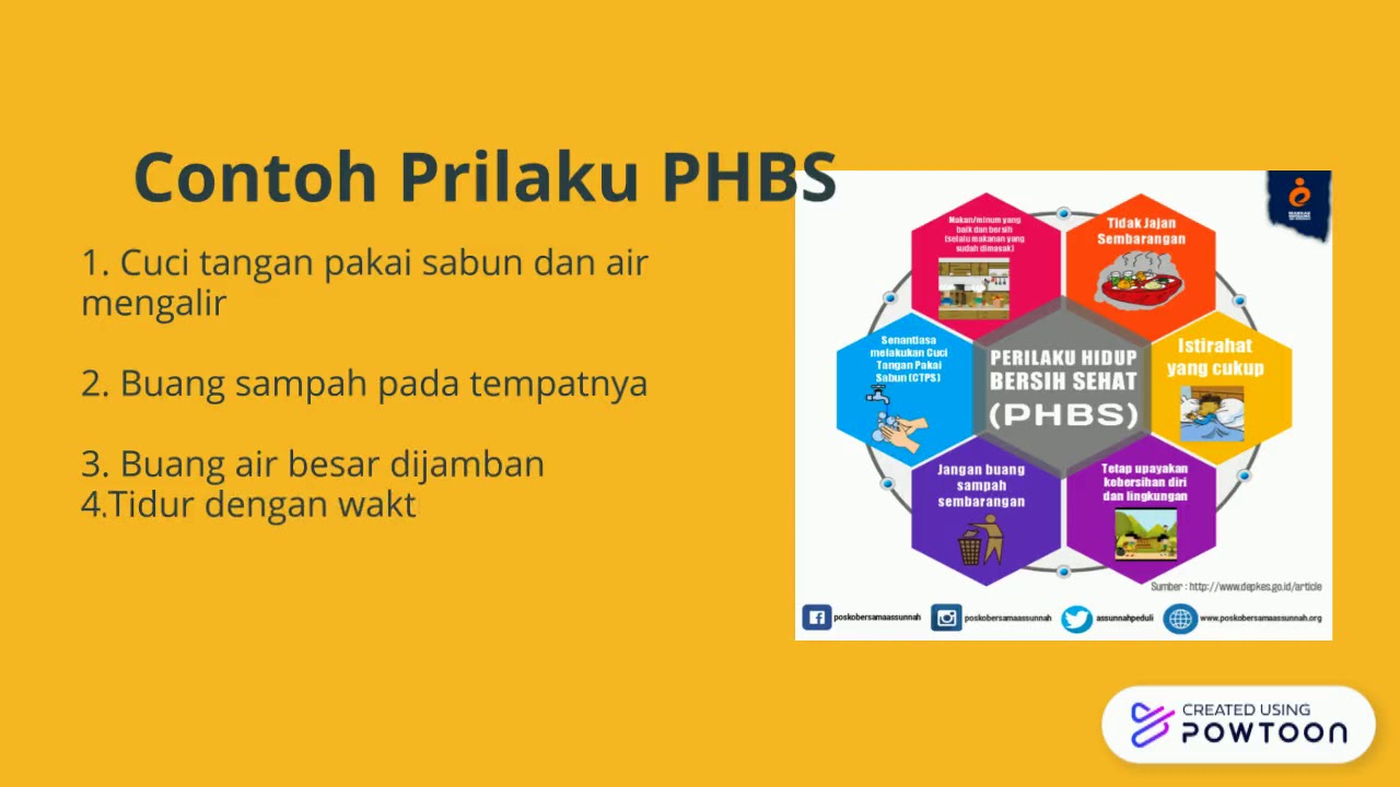 PHBS RUMAH TANGGA YouTube