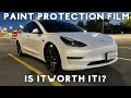 2021 Tesla Model 3 - Paint Protection Film (PPF) - Is it Worth The Investment?