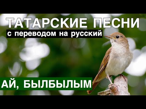 Татарские песни С ПЕРЕВОДОМ НА РУССКИЙ I АЙ, БЫЛБЫЛЫМ / АЙ, СОЛОВЕЙ МОЙ