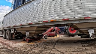 видео: ЕДИНСТВЕННОЕ, для чего хороши силосы! картинка: ЕДИНСТВЕННОЕ, для чего хороши силосы!