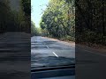 joypur forest #vlog #scenery #forest #nature #trip #staycation #youtubeshorts #shorts
