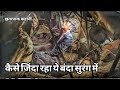 Tunnel  film explained in hindi  urdu summarized   explainer raja