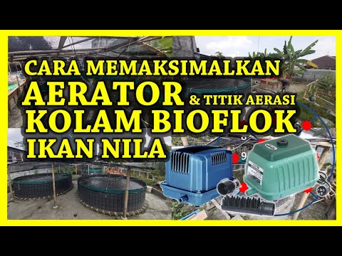 Video: Apa itu mesin aerasi?