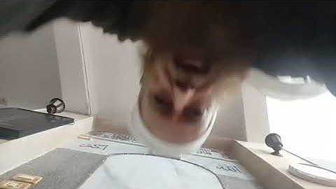 محمد حسانين جويفل وتلاوة من سورة النور في صلاة الفجر السبت 4 جمادى الأولى 1445 الموافق  18 نوفمبر 20