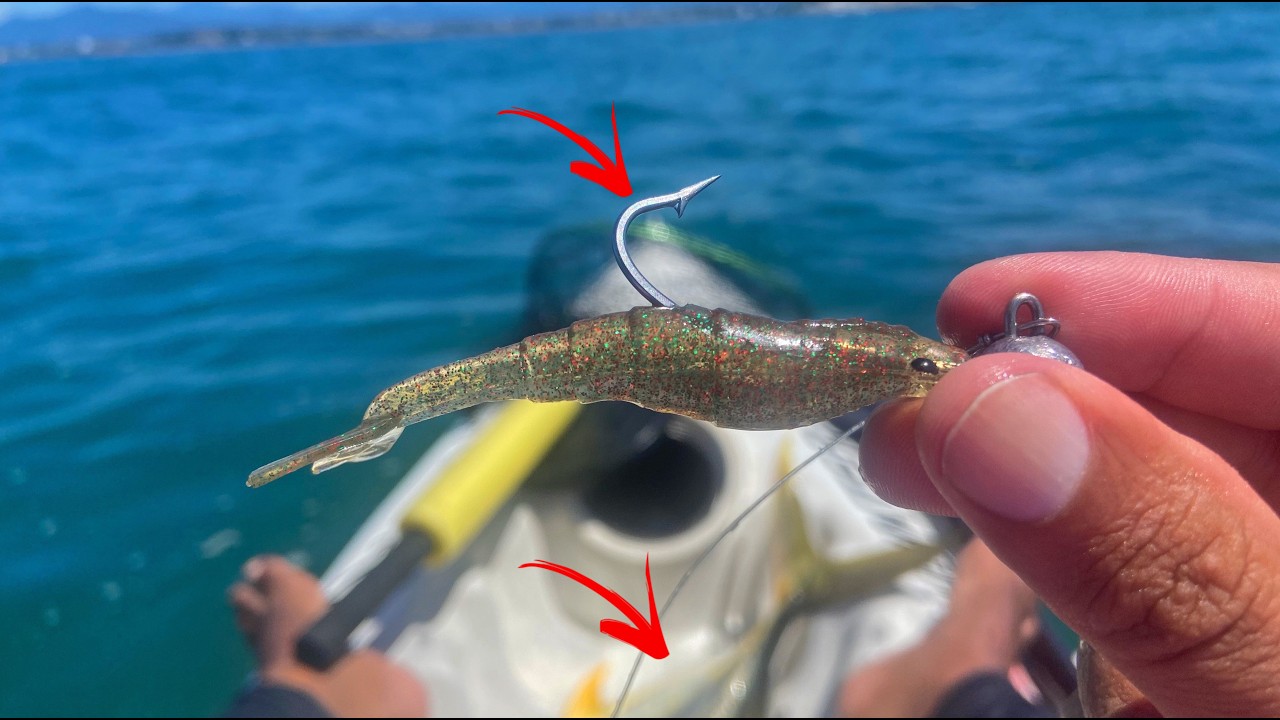 FIQUEI CERCADO POR PEIXES GIGANTES! SÓ FILMANDO PARA ACREDITAR! Pescaria.