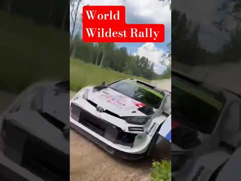 World Wildest Rally #wsr #worldsafarirally #travelvlog