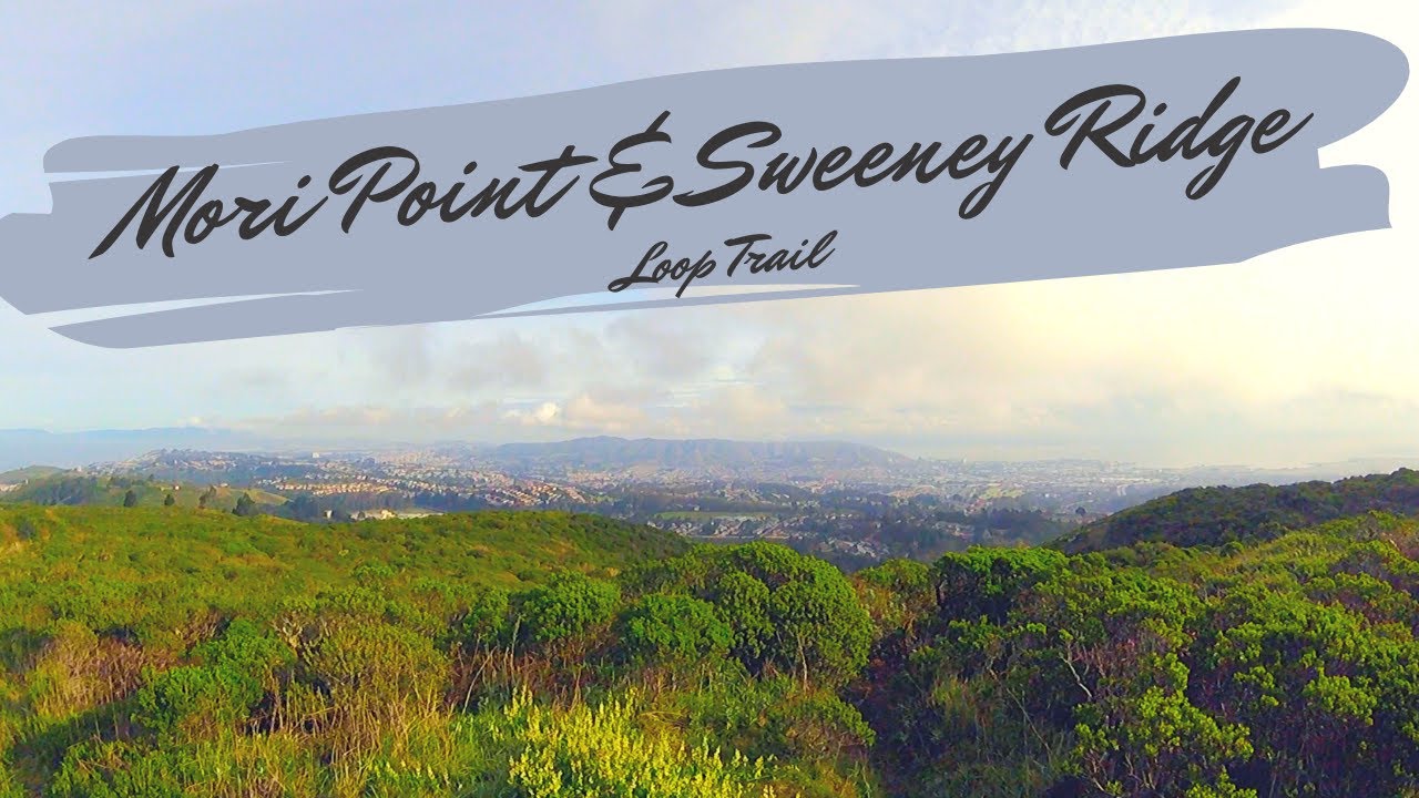 Hiking Mori Point and Sweeney Ridge Loop Trail via Skyline College ...