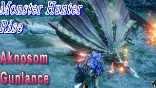 MHR Aknosom Gunlance Monster Hunter Rise 傘鳥 アケノシルム ガンランス モンスターハンターライズ 集会所クエスト 魔物獵人崛起集會所 銃槍 아케노시름