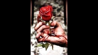 Bir Gülü Sevdim, Bir Onu Sevdim - Seslendiren : Zeki Müren