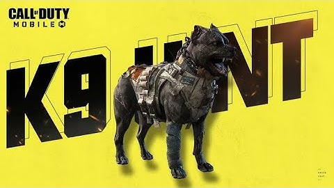 K9 UNIT UNDERRATED CLASS? - CALL OF DUTY MOBILE GAMEPLAY BATTLE ROYALE