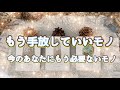 ✨⭐️✨もう手放していいモノ〜今のあなたにもう必要ないモノ✨⭐️タロット・占い・スピリチュアルカードリーディング