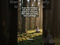 You Love Privilege