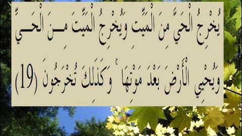 القران الكريم سورة الروم الاية 19.wmv