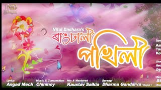Rangdhali Pokhili | Nitul Dadhara | Title Track / Album [ Pokhili ] New Assamese Song 2022