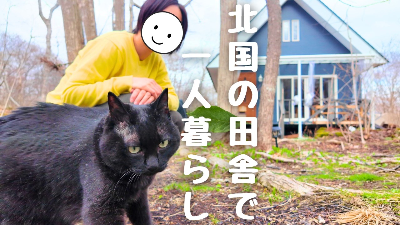 北国の小さな家で、犬と猫と静かに暮らす日常