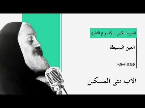      العين البسيطة