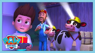 lighting the way home paw patrol wildbrain kids