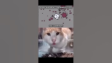 Wait a minute… #arras #arrasio #rareshapes #shiny #meme #memes #waitaminute #florr #florrio