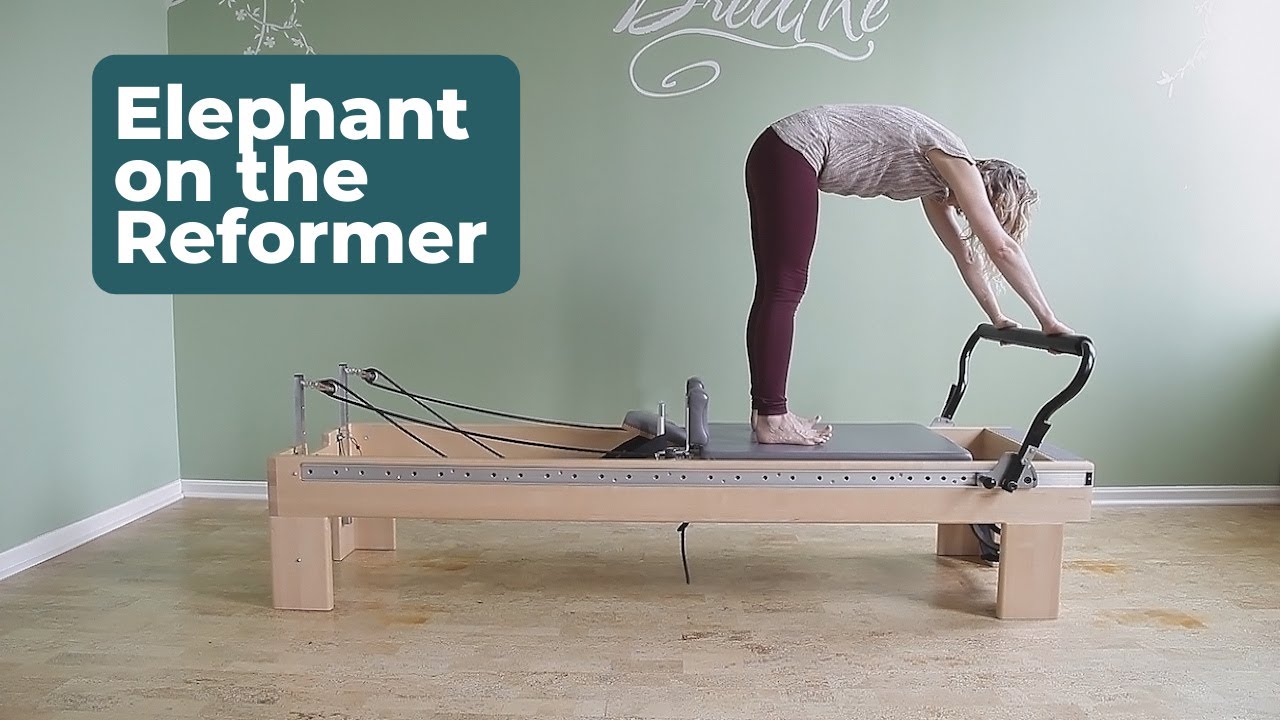 Elephant, Planks, Lunges on the Reformer, Check out Abril demonstrating  some of her favorite exercises on the Pilates reformer! Abril shows how the  reformer helps tap into your body/mind