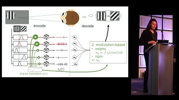 Caroline Haimerl - Shared stoch. modulation can facilitate biol. plausible decoding (Cosyne 2018)