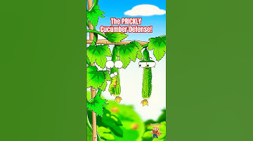 EXPLAINED: The PRICKLY Cucumber Defense! 🥒#cucumber #animation