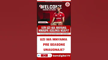 Uzi Mpya Wa Simba Preseason Unaupa Asilimia Ngapi SimbaSC 