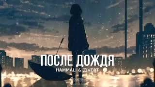 Hammali & Zivert - После Дождя | Премьера Песни 2024