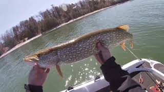 Searching For Walleyes (Sturgeon Bay) ***Bonus Fish***