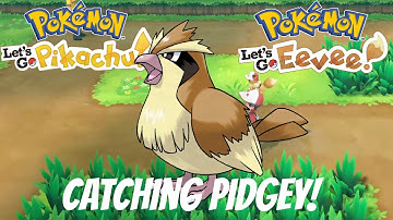 Catching Pidgey | Pokémon Let
